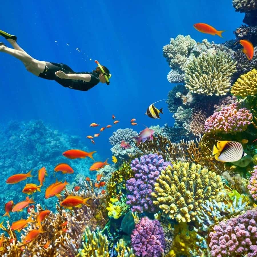 Шарм-эш-Шейх — Красное море